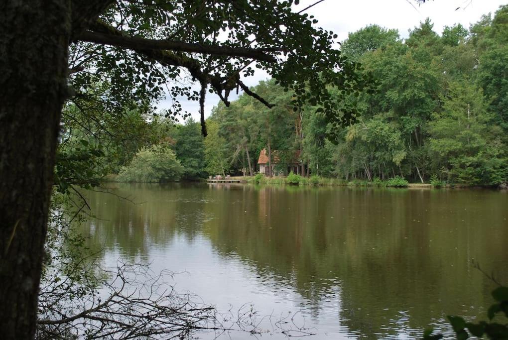 Paradis Perdu En Sologne Avec Plage Privee Villeny 외부 사진